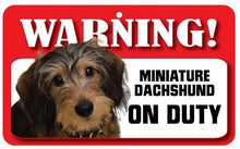 Load image into Gallery viewer, Dachshund (M Wire Haired) Pet Sign