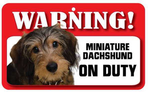 Dachshund (M Wire Haired) Pet Sign