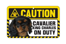 Load image into Gallery viewer, Cavalier King Charles Ruby Caution