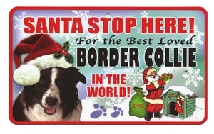 Border Collie Santa Stop Here Pet