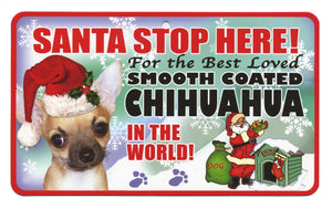 Chihuahua (Smooth Coat) Santa Stop Here