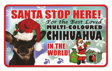 Load image into Gallery viewer, Chihuahua (Multi Coloured) Santa Stop He