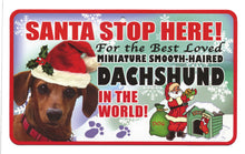 Load image into Gallery viewer, Dachshund (M Smooth Haired) Santa Stop H