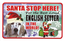 Load image into Gallery viewer, English Setter Terrier Santa Stop Here S