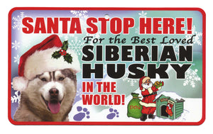 Siberian Husky  Stop Here Sign