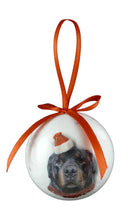 Load image into Gallery viewer, XPB018 - Christmas Rottweiler Bauble