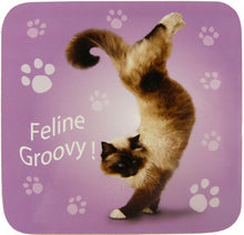 Load image into Gallery viewer, YP036 - Feline Groovy Yoga Pet Coaster
