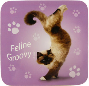 YP036 - Feline Groovy Yoga Pet Coaster