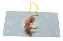 Load image into Gallery viewer, YP083 - Purrfectly Yoga Pet  Hanging Sign