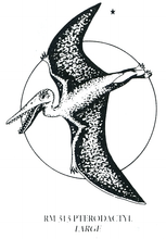Load image into Gallery viewer, Rubber Stampers - Dinosaurs