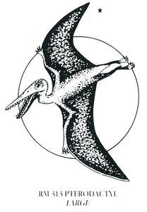 Rubber Stampers - Dinosaurs