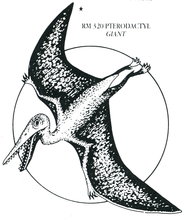 Load image into Gallery viewer, Rubber Stampers - Dinosaurs