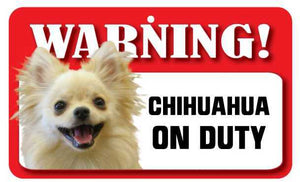 Chihuahua (Long Haired) Pet Sign