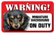 Load image into Gallery viewer, Dachshund (M Long Haired) Pet Sign