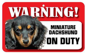 Dachshund (M Long Haired) Pet Sign