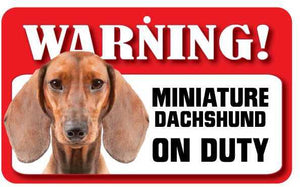 Dachshund (M Smooth Haired) Pet Sign