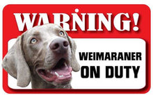 Load image into Gallery viewer, Weimaraner  Pet Sign