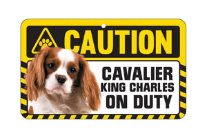 Cavalier King Charles Blenheim Caution