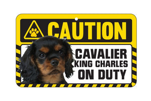 Cavalier King Charles Ruby Caution