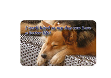 Load image into Gallery viewer, I Work Hard So My Dog Better Life Sign