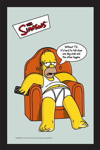 L192 - Homer Simpson Without Tv