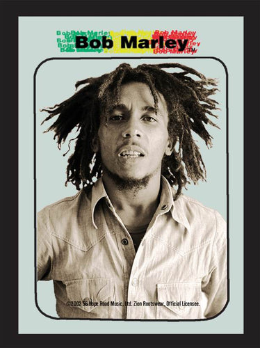 L195 - Bob Marley Mirror