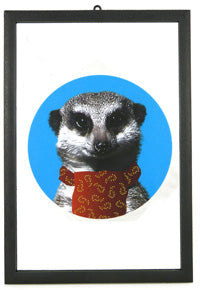 L301 - Meerkat Mirror