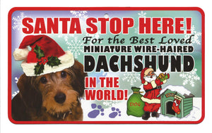 Dachshund (M Wire Haired) Santa Stop H