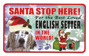 English Setter Terrier Santa Stop Here S
