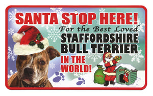 Staffordshire Bull Terrier  Stop Here Si