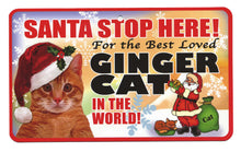 Load image into Gallery viewer, Cat (Ginger) Santa  Stop Here Sign