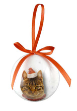 Load image into Gallery viewer, XPB024 - Christmas Cat Tabby  Bauble