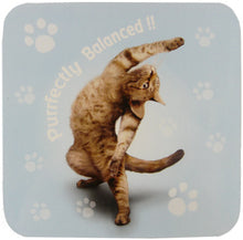 Load image into Gallery viewer, YP035 - Purrfectly Yoga Pet Coaster