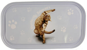 YP059 - Purrfectly Yoga Pet Tin Magnet