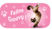 Load image into Gallery viewer, YP060 - Feline Groovy Yoga Pet Tin Magnet
